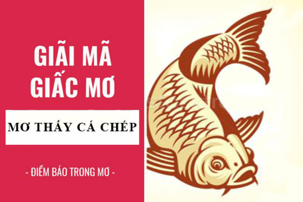 Nằm mơ thấy cá chép