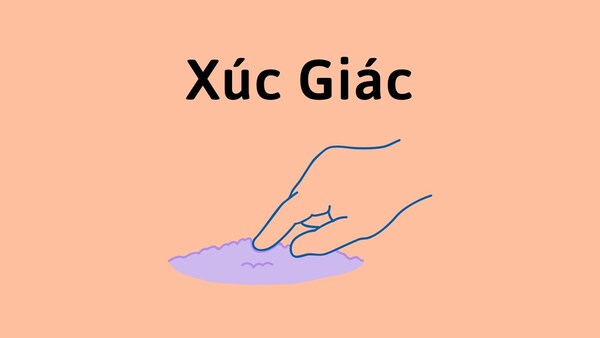 Xúc giác là gì