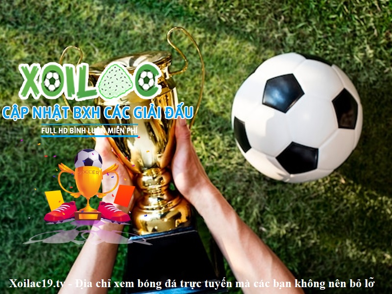 xoilac19-tv-dia-chi-xem-bong-da-truc-tuyen-ma-cac-ban-khong-nen-bo-lo