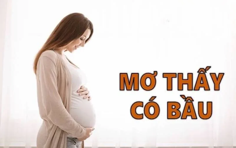 mo thay co bau danh con gi giai ma giac mo chi tiet