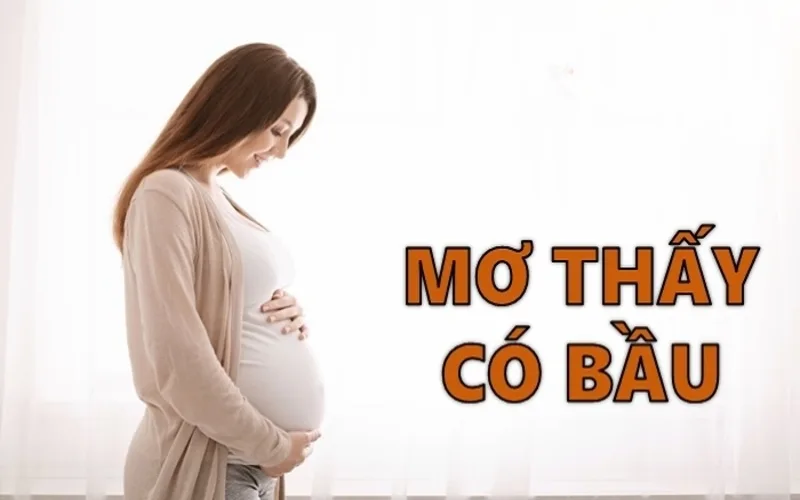 mo thay co bau la diem bao gi luan giai chi tiet