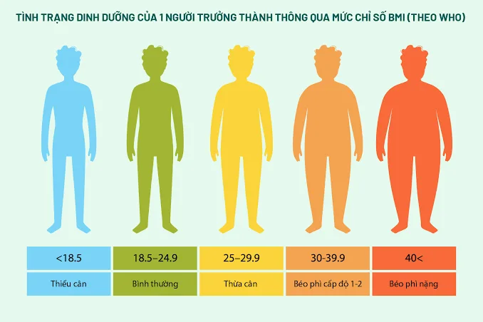 chỉ số BMI là gì
